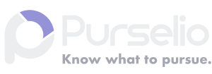 purselio.com